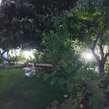 Vila Casa Do Sobral Óbidos Dış mekan fotoğraf