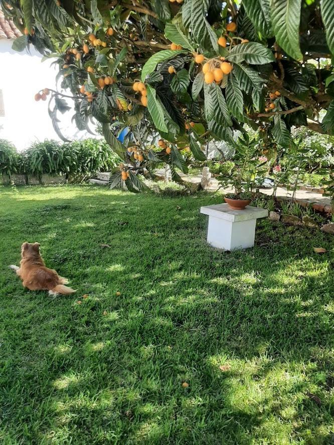Vila Casa Do Sobral Óbidos Dış mekan fotoğraf