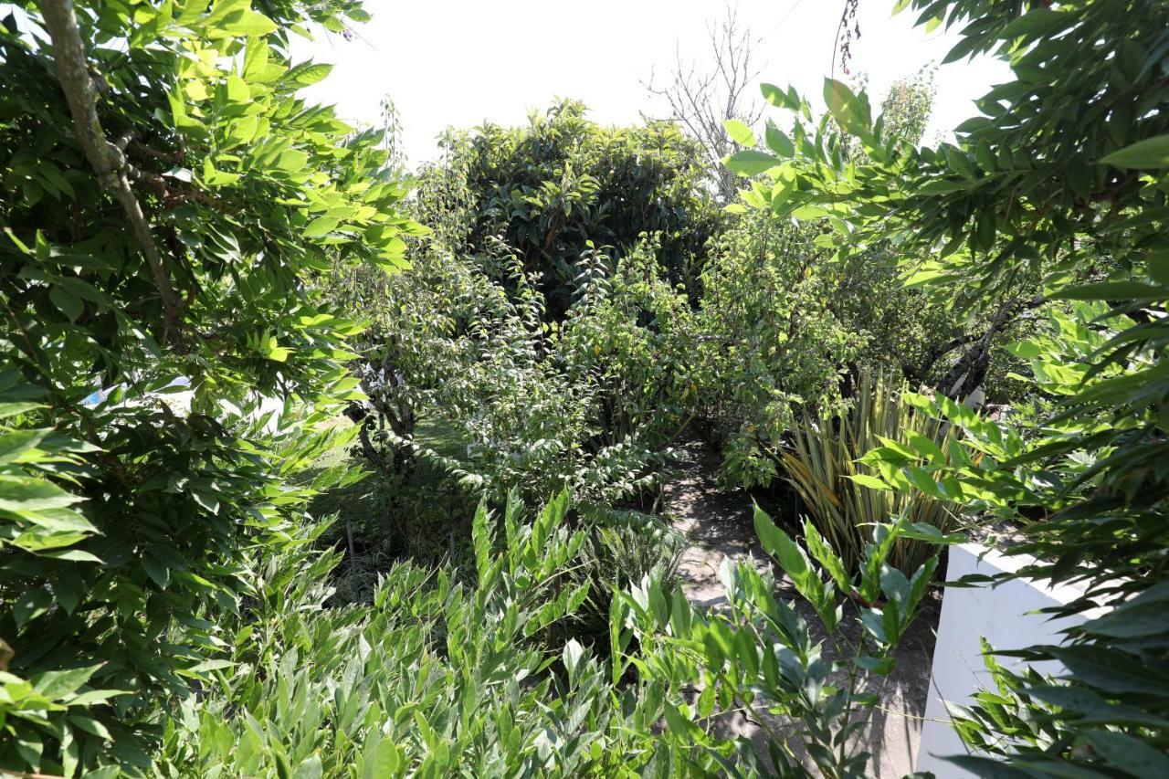 Vila Casa Do Sobral Óbidos Dış mekan fotoğraf